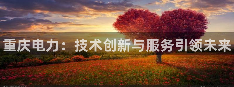门徒娱乐登录网站：重庆电力：技术创新与服务引领未来