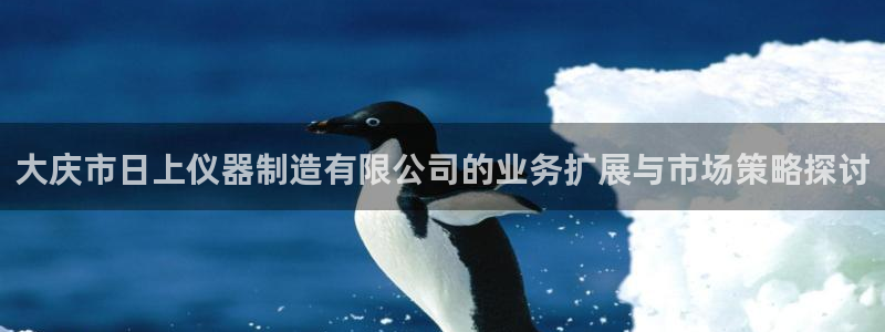 娱乐门徒为什么太监了：大庆市日上仪器制造有限公司的业务扩展与