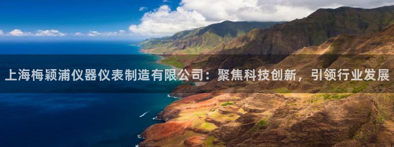 门徒娱乐属于哪个系列：上海梅颖浦仪器仪表制造有限公司：聚焦科