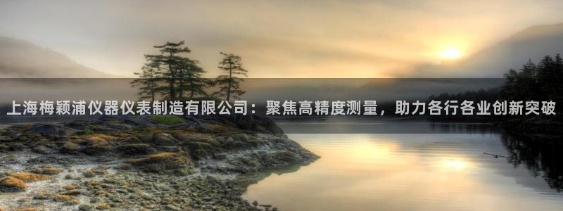 门徒娱乐彩票官网网址：上海梅颖浦仪器仪表制造有限公司：聚焦高