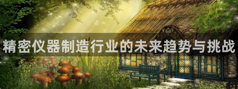 门徒娱乐平台登陆：精密仪器制造行业的未来趋势与挑战