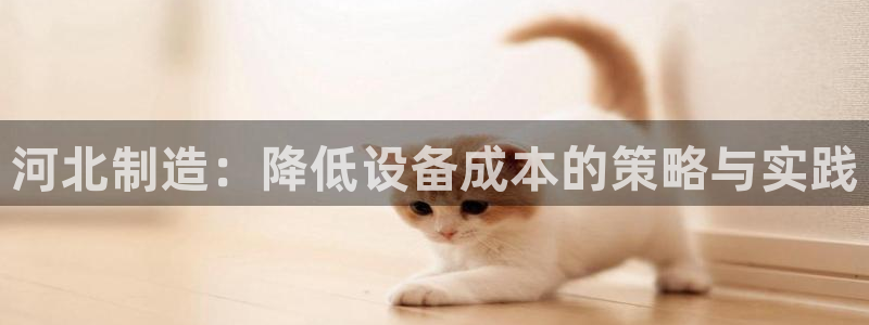 小刀娱乐门徒：河北制造：降低设备成本的策略与实践