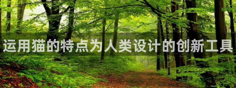 门徒娱乐登录平台：运用猫的特点为人类设计的创新工具