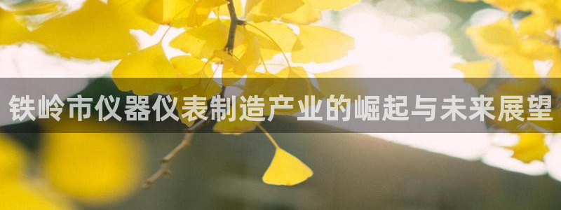 门徒娱乐平台骗子：铁岭市仪器仪表制造产业的崛起与未来展望