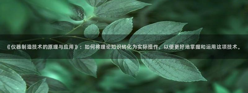 门徒娱乐盈利
